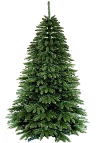 Kaukazinė eglutė, 220 cm – gamintojo nuotrauka